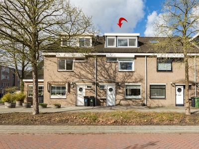 Alexandriëstraat 37