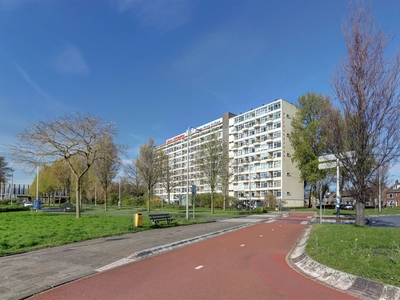 H. Kamerlingh Onnesstraat 113