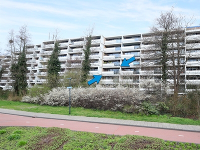 Stadzicht 84