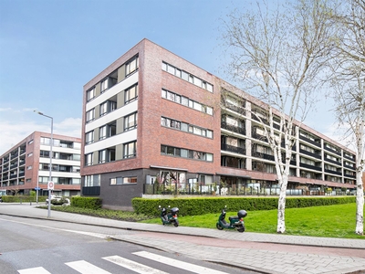 Van Heukelomstraat 294