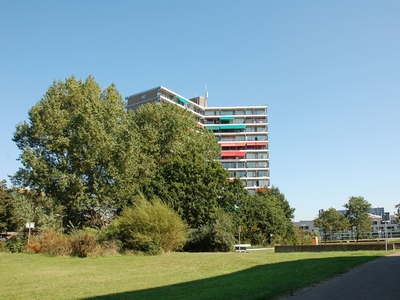 Zeewijkplein 248