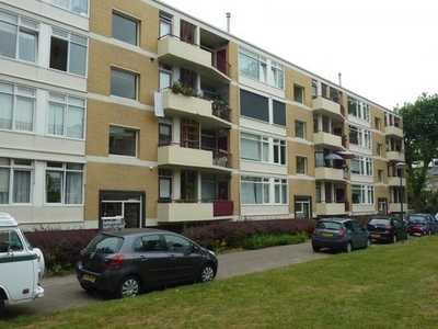 Appartement M. Harpertszoon Tromplaan in Oegstgeest