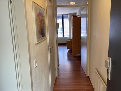 Appartement Vrijstraat in Eindhoven