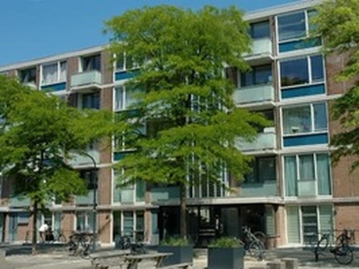 Maisonnette te huur in Haarlem