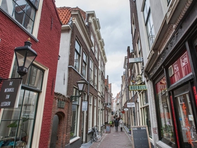 Pieterskerk-Choorsteeg in Leiden (105m2)