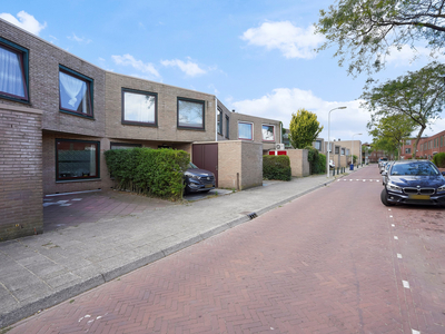 Amazonestraat 41