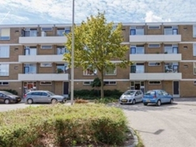 Appartement te huur in Alphen aan den Rijn