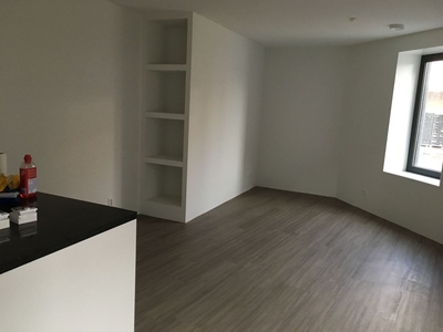 Appartement in Leiden met 2 kamers