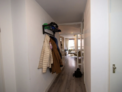 Appartement te huur Dommelstraat, Eindhoven