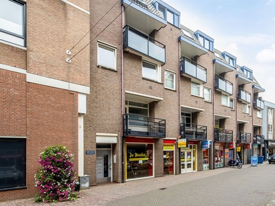 Kruisherenstraat 219