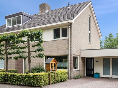 Doornboomstraat 10