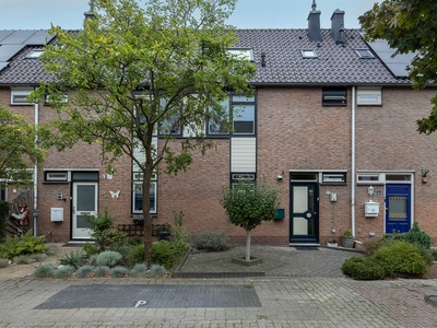 Thorbeckestraat 13