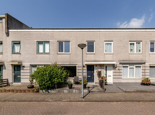 Accordeonstraat 71