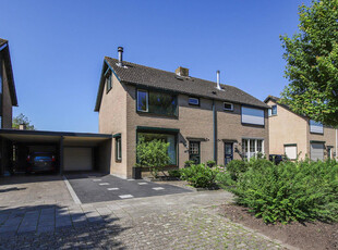 Boerhaavestraat 43