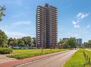 Dunantstraat 1217