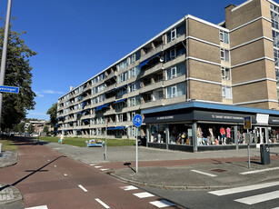 Kerkwervesingel 241