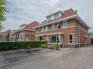 Linnaeusstraat 41