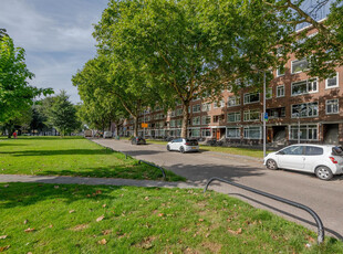 Mijnsherenlaan 185A