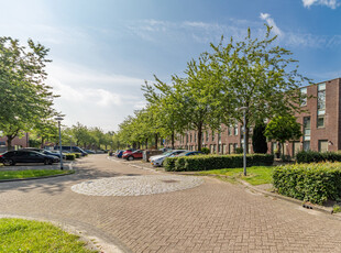 Renoirstraat 162