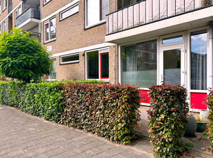 Wieldraaierstraat 33