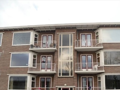 Appartement te huur Honingboomstraat, Leeuwarden