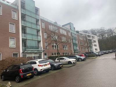 Lovinklaan in Arnhem (96m2)