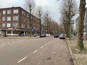 Weert - Dries