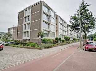 Aaltje Noordewierstraat 69, Den Haag