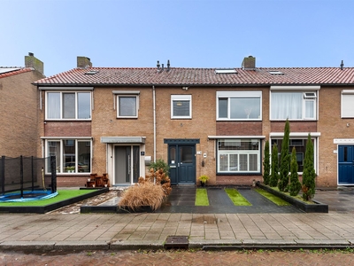 Flamingostraat 6