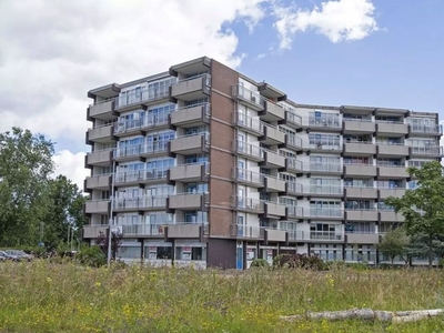 Victor van Vrieslandstraat in Haarlem (51m2)