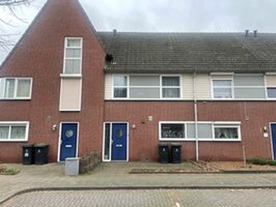 Eengezinswoning, tussenwoning te huur in Roermond