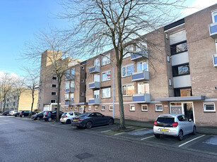 Albert Cuypstraat 136