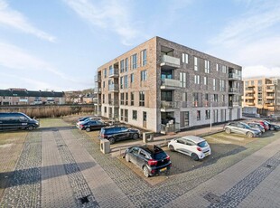 Penthouse Torenmolen, Pijnacker huren?