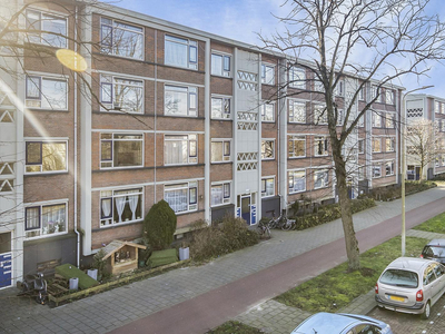 Steenwijklaan 298