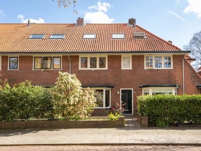 Polluxstraat 24