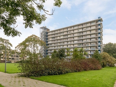 Appartement Cornelis Heinricksestraat in Rotterdam