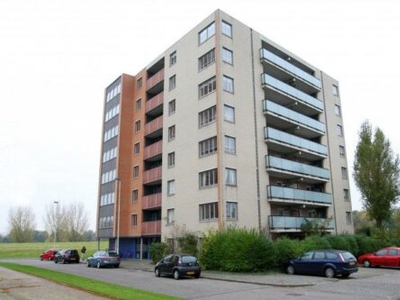 Appartement in Rotterdam met 3 kamers