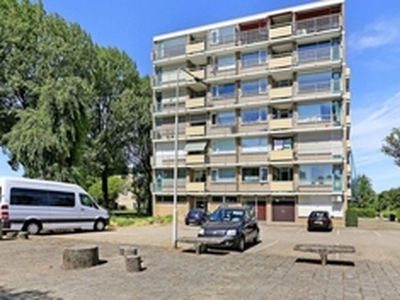 Appartement te huur in Arnhem