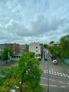 Kamer Harddraverstraat in Rotterdam