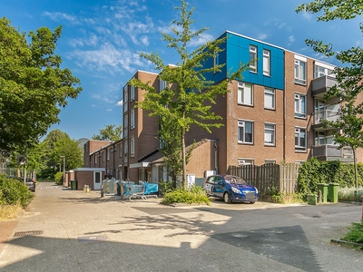 Schepen ten Havestraat 31