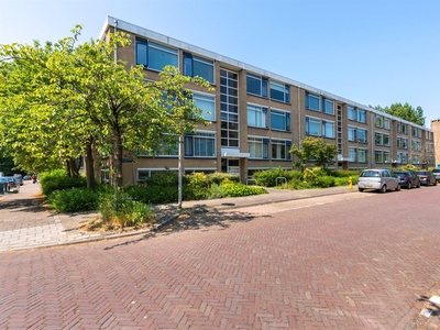 Van der Haertstraat 11