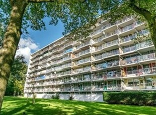 Appartement te huur in Leiden