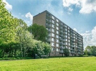 Appartement te huur in Leiden