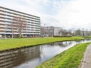 Appartement te huur in Leiden