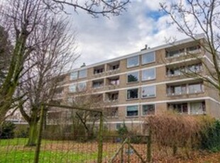 Appartement te huur in Leiden