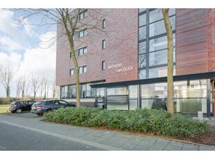 Huur 1 slaapkamer appartement in Almere