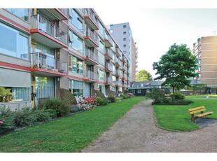 Huur 1 slaapkamer appartement in Leerdam