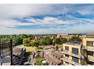 Huur 1 slaapkamer appartement in Utrecht