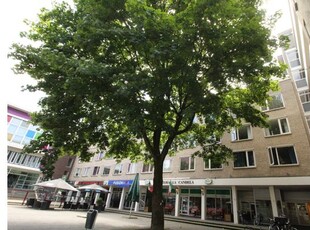 Huur 1 slaapkamer appartement van 17 m² in Enschede