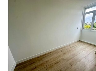 Huur 3 slaapkamer appartement van 75 m² in haarlem